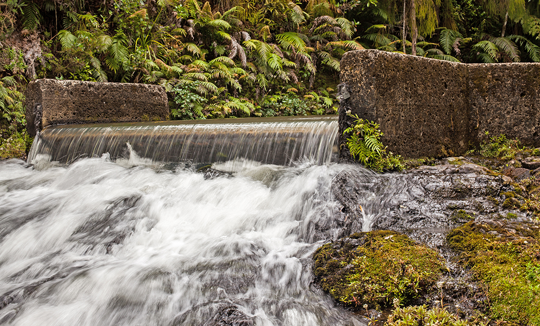 rainwater-harvesting